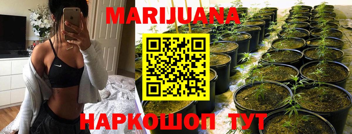 МАРИХУАНА White Widow Рославль